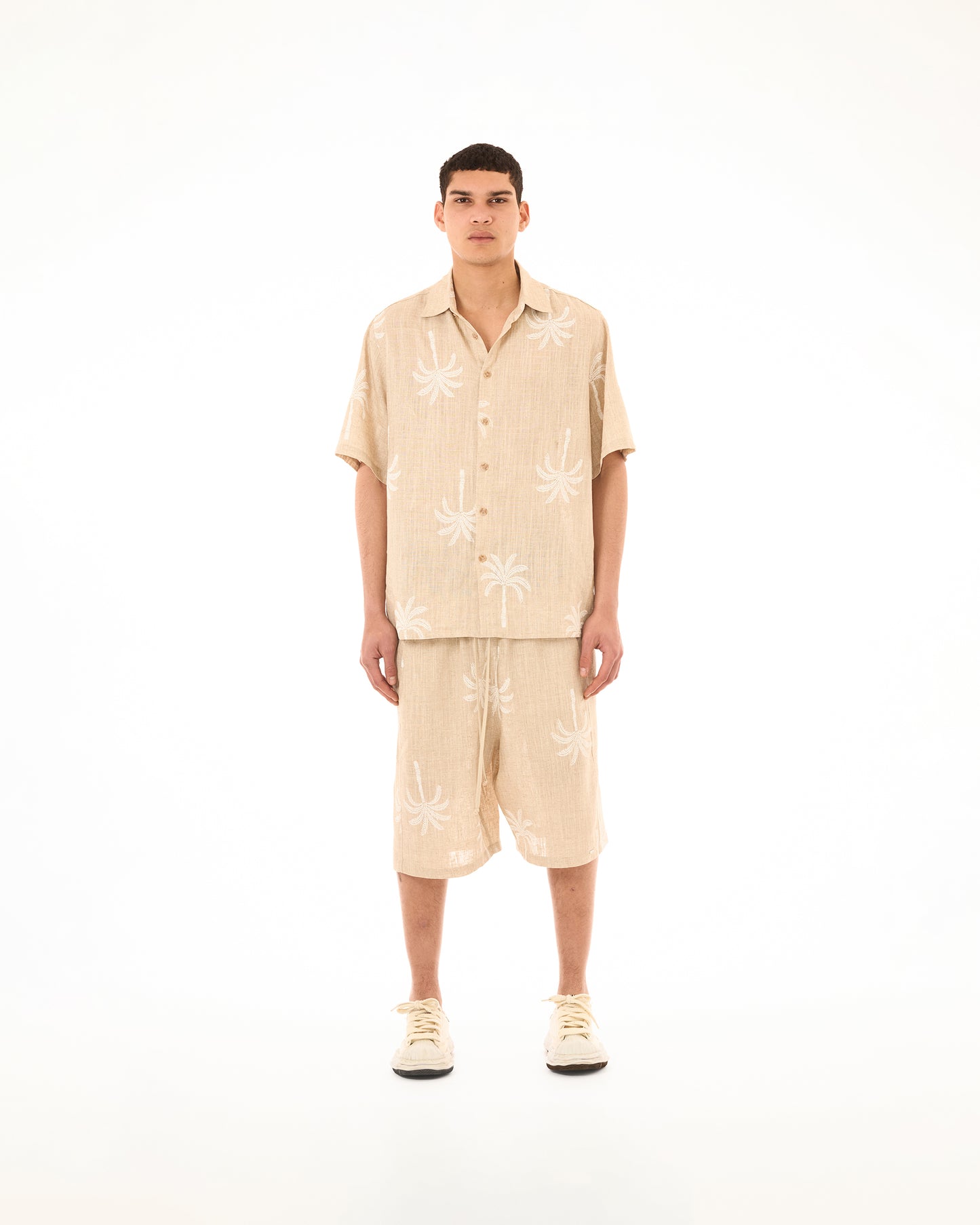 Bermuda Palm