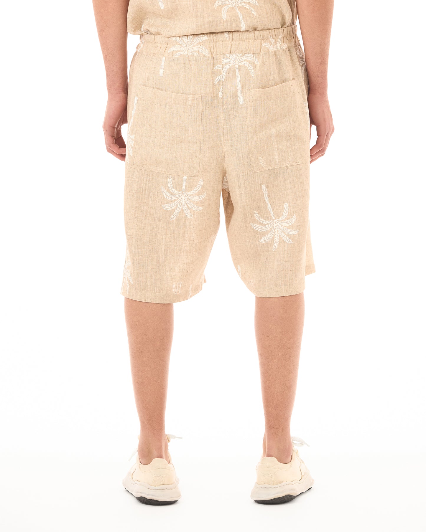 Bermuda Palm